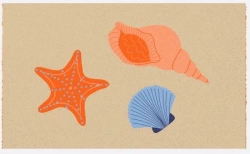 Paillasson 75x45 Fibre Naturelle - Coquillages