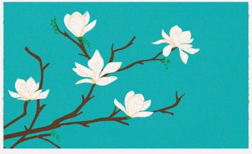 Paillasson 75x45 Fibre Naturelle - Magnolia